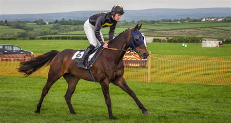 Report Stevenstone Point To Point Vauterhill Bank Holiday Monday 5