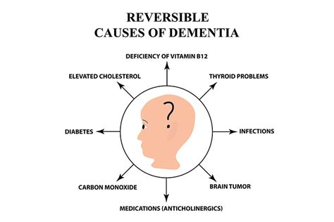What Are The Main Causes Of Dementia Summerhouse Senior Living