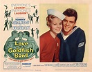 LOVE IN A GOLDFISH BOWL DVD - 1961 Movie on DVD - Tommy Sands Fabian ...