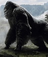 King Kong – Film, biografia e liste su MUBI