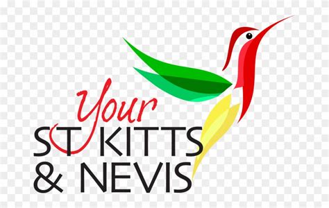 Your St Kitts And Nevis Piciformes Clipart 1794971 Pinclipart