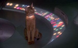 A description of tropes appearing in cat from outer space. Cat (The Cat from Outer Space) | Alien Species | FANDOM ...