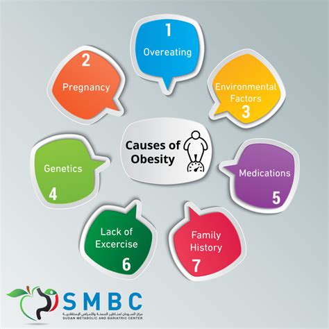 What Causes Obesity The Main Factors Causes Of Obesity In The Us