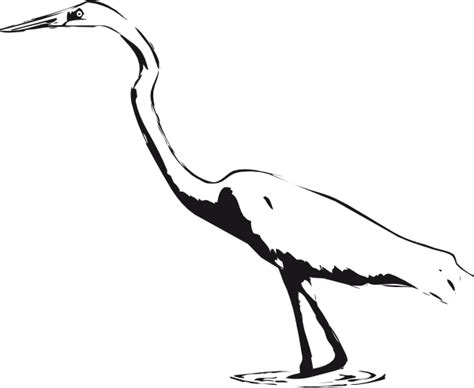 Great Egret Great Blue Heron Bird Crane Clip Art Crane Cliparts Png
