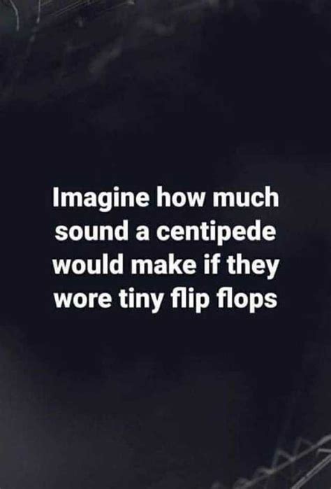 Imagine How Much Sound A Centipede Would Make If They Wore Tiny Flip