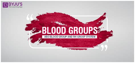 Blood Groups Abo Blood Group And Rh Blood Group Systems Byjus