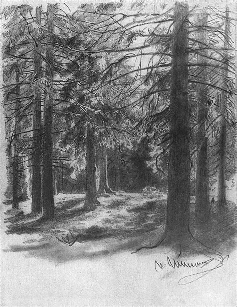 Morning In A Pine Forest Ivan Shishkin Forest Drawing