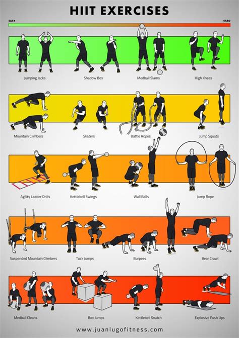 Printable Bodyweight Lower Body Exercises Training Poster Singapore Lupon Gov Ph