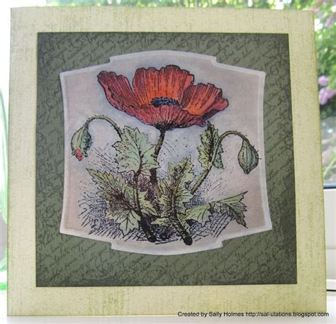 Crafty Salutations Red Poppy Poppy Cards Red Poppies Ink Cards
