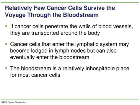 Chapter 26 Cancer Cells © 2016 Pearson Education Inc Ppt Download