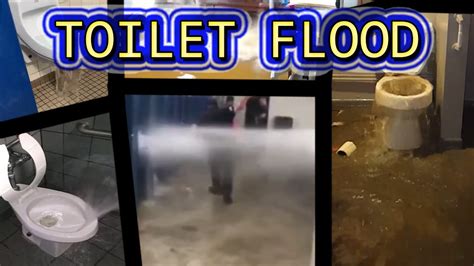Toilet Flood Compilation Youtube