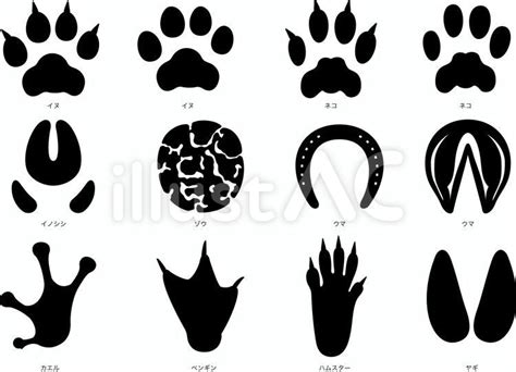 Free Vectors Animals Footprint Silhouette Set