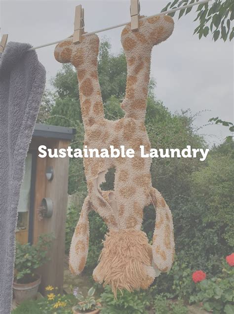 A Stuffed Giraffe Hanging From A Clothes Line With The Words