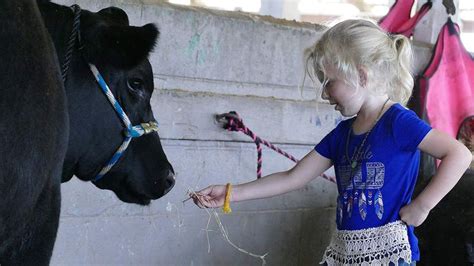 We did not find results for: Pasco County Fair kicks off next week in Dade City