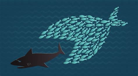 Together We Stand Little Fish Eats Big Shark Stock Illustration