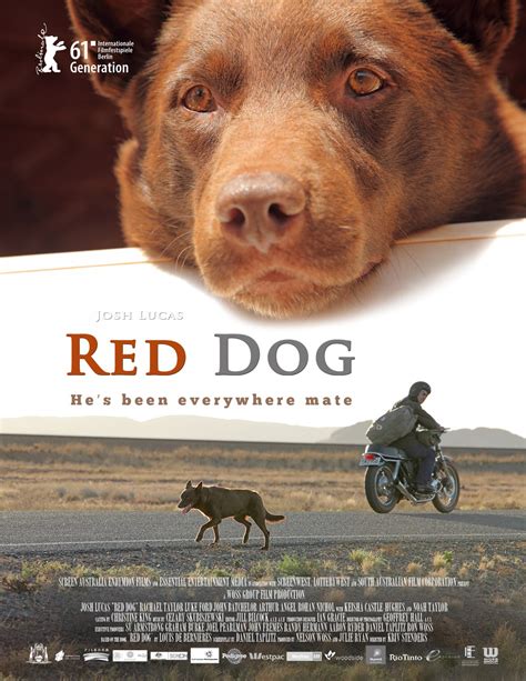 Film Review Red Dog 2011 Review