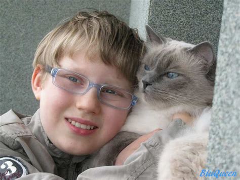 Photos Of Ragdoll And Children Ragdoll Cats