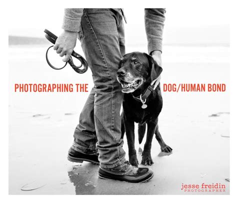 Photographing The Doghuman Bond By Jesse Freidin Photographer Blurb