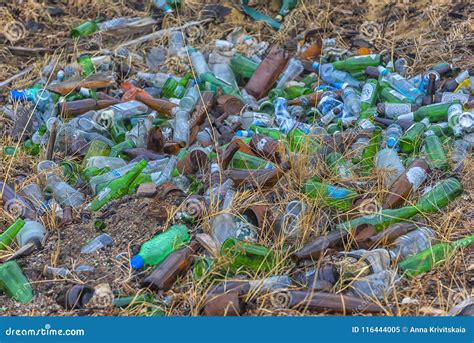 Rubbish Plastic And Glass Bottles In A Pit On The Shore Editorial