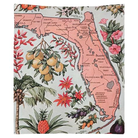 Vintage Florida Map Tapestry 1917 Vegetation Illustrative Etsy