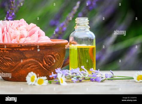 thai foot massage alternative medicine therapy with thai herb aroma oil background for spa or