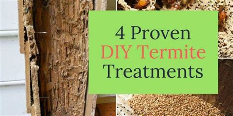 4 Proven Diy Termite Treatments Diy Termite Treatment Termite