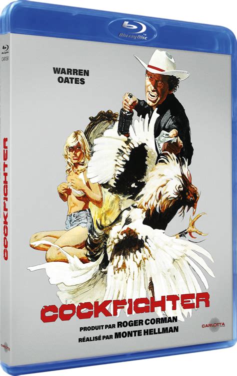 Cockfighter By Monte Hellman La Boutique Carlotta Films