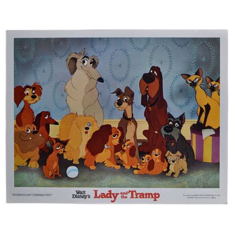 Lady And The Tramp Original Lobby Card Of Walt Disneys Movie Usa