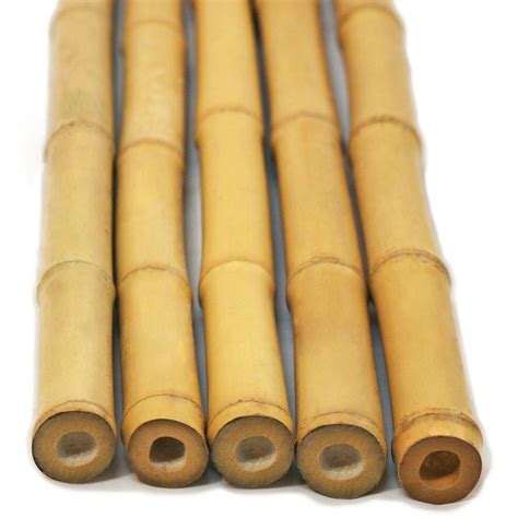 8ft Bamboo Canes 200 Collection Only Trellises Garden Fencing
