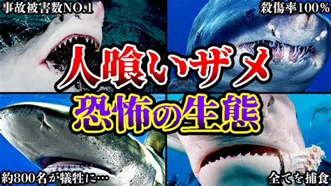 【人喰いザメ】世界で最も危険なサメのヤバすぎる生態と人の命を奪った事例5選【ゆっくり解説】【閲覧注意】 Youtube