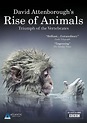 Discovery Blog: Documentários BBC: David Attenborough's Rise of Animals ...