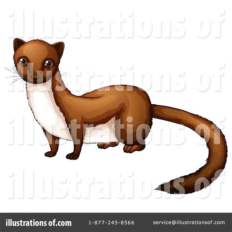 Weasel Clipart 1344315 Illustration By Graphics Rf