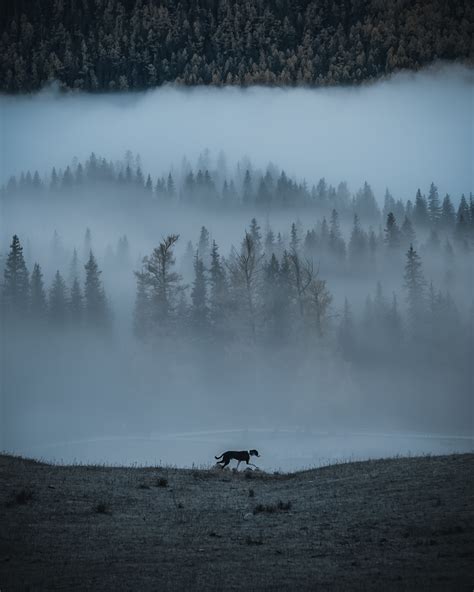 Free Images Atmospheric Phenomenon Sky Mist Water Winter Natural