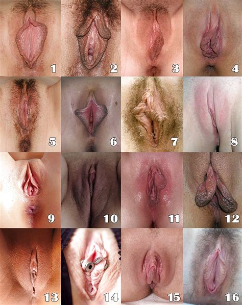 Pick Your Favorite Pussy Xxx Porn