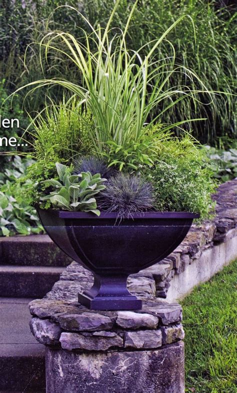 Beautiful Green Container Garden Modern Design Садовый контейнер