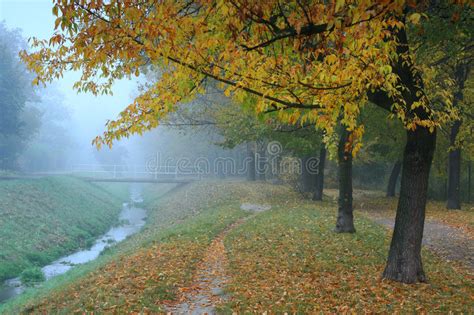 Park In The Misty Fall Day Stock Photo Image Of Foggy 12471134