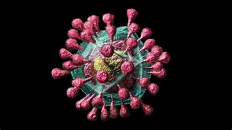Qué es el nuevo coronavirus responsable de una misteriosa neumonía en
