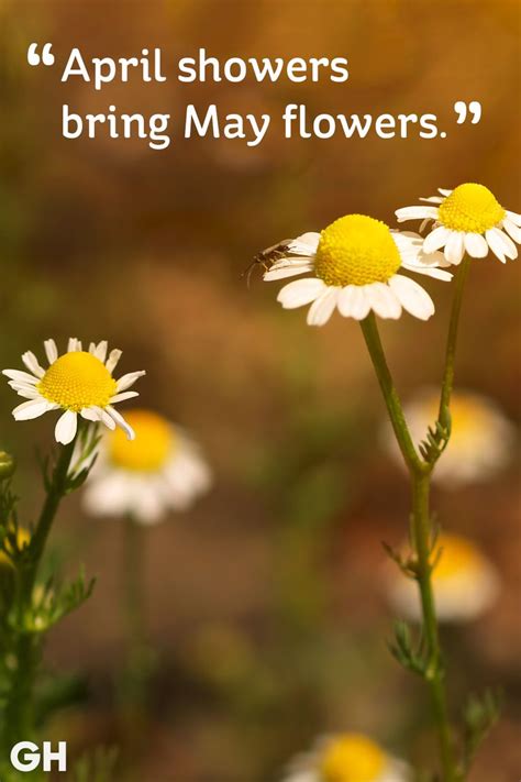 Maybe you would like to learn more about one of these? 20 Happy Spring Quotes - Sayings About Spring and Flowers