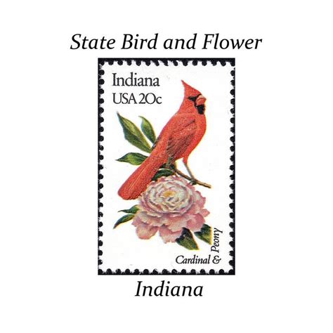 Five 20c Indiana State Bird And Flower Stamps Vintage