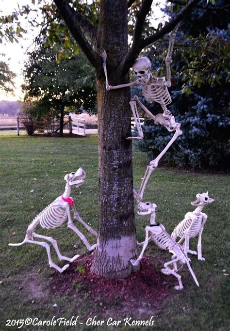 50 Skeleton Halloween Decoration Ideas For Outdoors Outdoor Halloween Scary Halloween