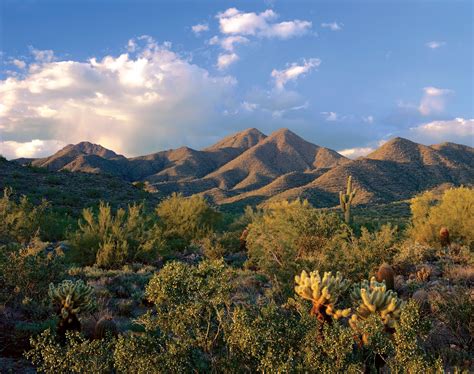 How To Spend A Week In Arizona Part Ii Scottsdale Huffpost