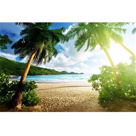 Szzwy 7x5ft Seascape Backdrop Seaside Chalet Coconut Tree Beach