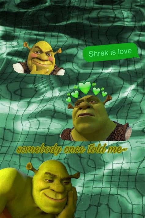 100 Funny Shrek Wallpapers