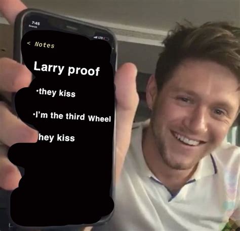 Niall Horan Larry Proof Larry Stylinson Niall Horan Meme In 2023