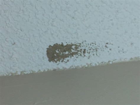 How do you get it above your cabinets? How Do You Get Rid Of Paint On A Popcorn Ceiling ...