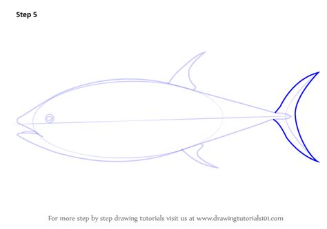 Learn How To Draw An Atlantic Bluefin Tuna Fishes Step By Step
