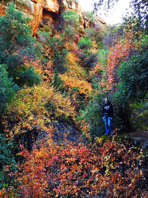Best Autumn Hikes In California Our Wanders