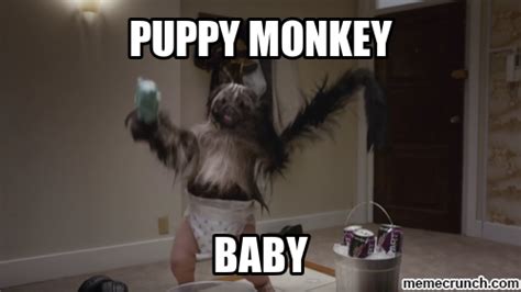 Puppy Monkey Baby Wallpaper Wallpapersafari