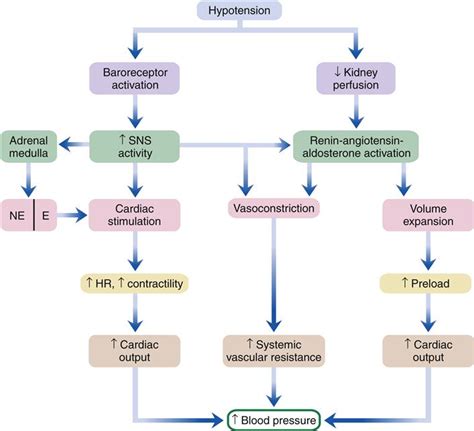 Shock Basicmedical Key