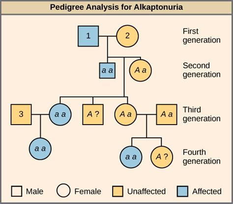 Biology Genetics Mendels Experiments And Heredity Characteristics